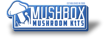 Mushbox Promo Codes & Coupons