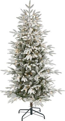 Flocked Manchester Spruce Artificial Christmas Tree with Lights and Bendable Branches, 66