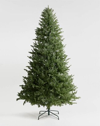 Fraser Fir Christmas Tree