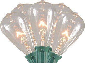 Northlight 10 Clear Edison Style Glass Christmas Lights - 9 ft Green Wire