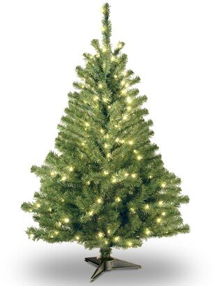 National Tree Company National Tree 4' Kincaid Spruce Tree w/100 Clear Lights