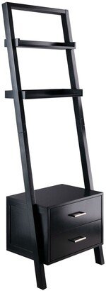 Modern Black 2 Drawer Entryway Shelf Leaning Ladder Bookshelf Bookcase - 29.99 x 15.98 x 69.36 Inches