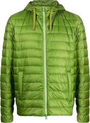 Globe hooded padded jacket