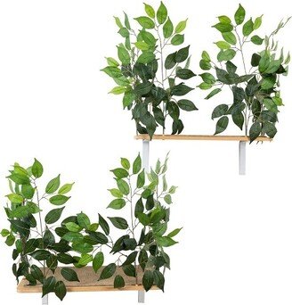 On2Pets Rectangle Cat Canopy Shelves - Green - 2ct