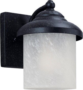 One Light Outdoor Wall Lantern