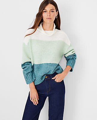 Petite Colorblock Roll Neck Sweater