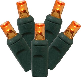 Northlight 4' x 6' Orange Led Net Style Christmas Lights - Green Wire