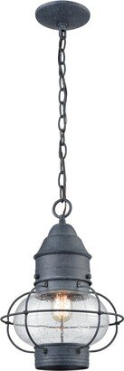 Artistic Home & Lighting Artistic Home Onion 10'' Wide 1-Light Outdoor Pendant-AA