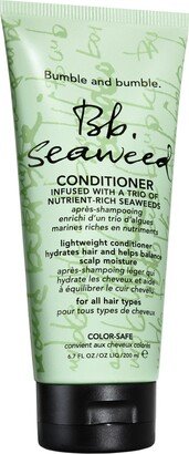 Seaweed Conditioner