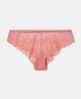 Silk Trim Lace Briefs