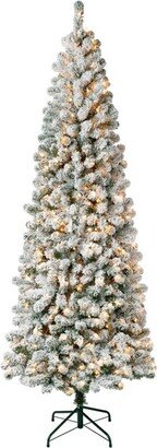 National Tree Company First Traditions 7.5' Pre-Lit Slim Medium Flocked Acacia Hinged Artificial Christmas Tree Clear Lights