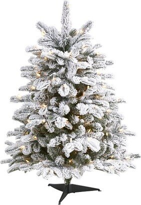 3’ Flocked North Carolina Fir Prelit Artificial Christmas Tree