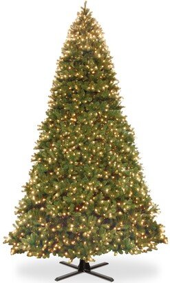 National Tree Company National Tree 16' Douglas Fir Hinged Tree, 2100 Dual-Color Led Lights