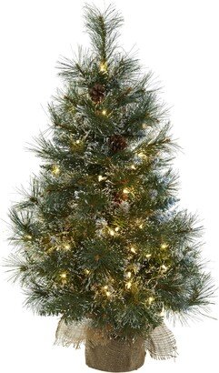 3-Ft. Christmas Tree with Clear Lights, Frosted Tips, Pine Cones and Burlap Bag