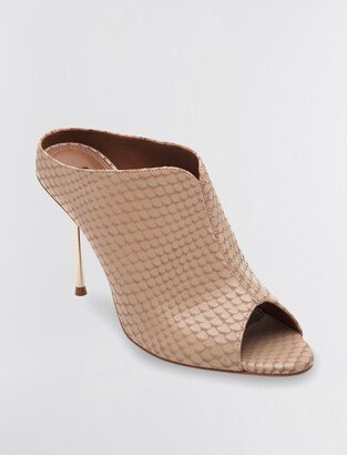 Teela Mule Sandal Heel