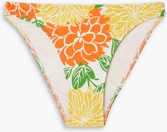 Palmero floral-print mid-rise bikini briefs