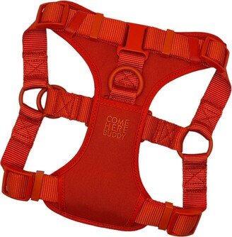 Come Here Buddy Orange Step In Dog Harness