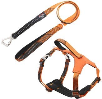 'Geo-prene' 2-in-1 Shock Absorbing Neoprene Padded Reflective Dog Leash & Harness - Medium