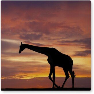 Photo Tiles: Giraffe In Saharan Sky Photo Tile, Metal, 8X8, Multicolor