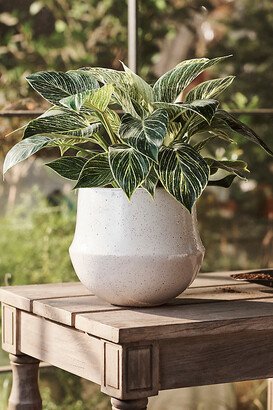 Terrain,9 needs inches mark in display name Speckled Bell Planter, 9