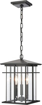 Artistic Home & Lighting Artistic Home Oak Park 9'' Wide 3-Light Outdoor Pendant-AB