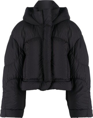 Hooded Puffer Jacket-AB