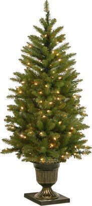 National Tree Company 4' Dunhill Fir Entrance Tree with 70 Clear Lights in Dark Bronze Pot