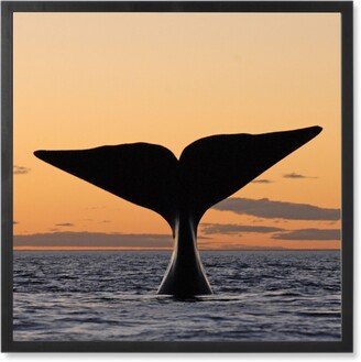 Photo Tiles: Humpback Whale Tail In Sunset Photo Tile, Black, Framed, 8X8, Orange