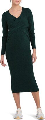 Heidi Long Sleeve Maternity/Nursing Dress