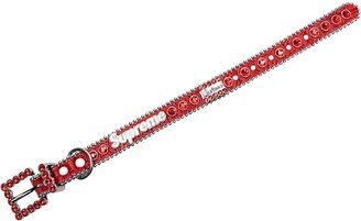 B.B. Simon studded dog collar