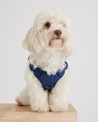 Neoprene Double Panel Dog Harness