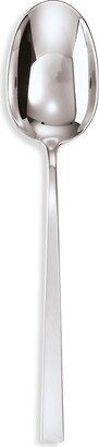 Linea Q Stainless Steel Serving Spoon