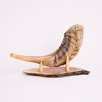 Small Ram's Horn Shofar From The Holy Land With A Tips Stand Olive Wood