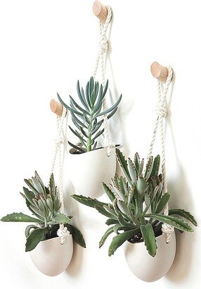 Light + Ladder Spora Hanging Planter & Maple Hook Set