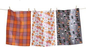 tagltd Costume Cat Pumpkin Dishtowel Set of 3