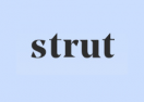 Strut Promo Codes & Coupons