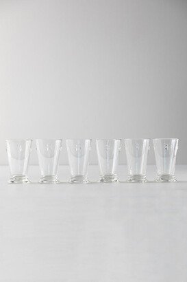 Bee Highball Glasses, Set of 6