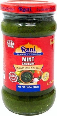 Rani Brand Authentic Indian Foods Mint Chutney (Podina) - 10.5oz (300g) - Rani Brand Authentic Indian Products