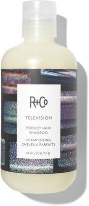 R+Co Television Perfect Hair Shampoo