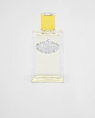 Infusion D'ylang Edp 100ml