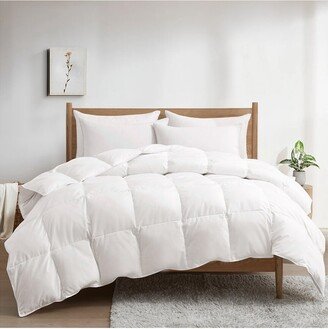 Year-Round Fiber & Down Comforter