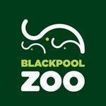 Blackpool Zoo Promo Codes & Coupons