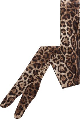 Leopard Print Tights-AA