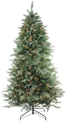 Northlight 9' Pre-Lit Washington Frasier Full Artificial Christmas Tree - Clear Lights