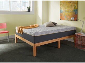 Corsicana Early Bird 10 Hybrid Memory Foam and Spring Medium Plush Mattress- King