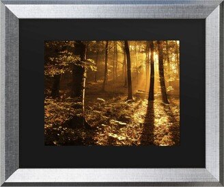 Philippe Sainte-Laudy Morning Light Matted Framed Art - 27 x 33