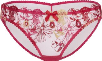 Zuri Full Brief-AA