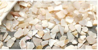 10 Grams Natural Freshwater Shell Chips, Undrilled, Mop No Holes, Thick Seashell Pieces, Nugget Px026