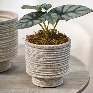 Ridged Texture Footed Planter, 4.5