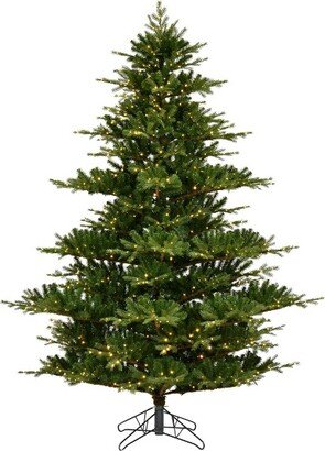 10' x 83 Sherwood Fir Artificial Christmas Tree, Color Changing LED 3mm Lights In a 34Lx34Wx5.5H base.